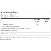 Doctor's Best 超級冬蟲草 750毫克 60粒素食膠囊 保護肺,保護肝功能,有益記憶力