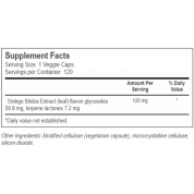 Doctor's Best 超效銀杏 120毫克 360粒素食膠囊  有益精神,有益記憶力