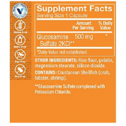 Vitamin World 維他命世界 氨基葡萄糖硫酸鹽500mg 240粒 (買一送一)  有益關節和軟骨,有益關節炎疼痛